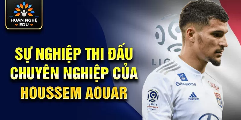 Sự nghiệp thi đấu chuyên nghiệp của Houssem Aouar